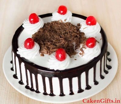 Shivams Bakers King Pristine Eggless Cake Premix Powder All Purpose Veg Cake  Mix For Baking Cake,