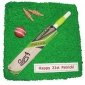 bat-with-cricket-ground-cake thumb