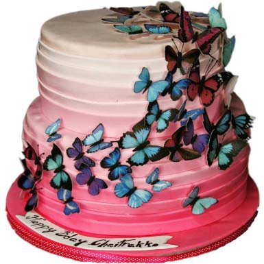 2-tier-butterfly-cake