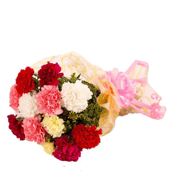 mixed-carnations