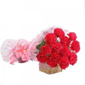 True Love Carnations